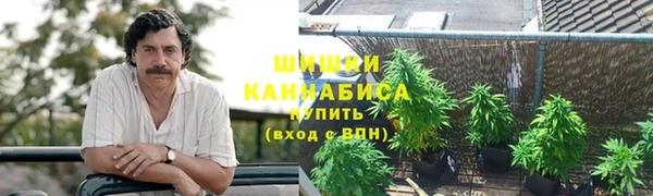 стаф Абдулино